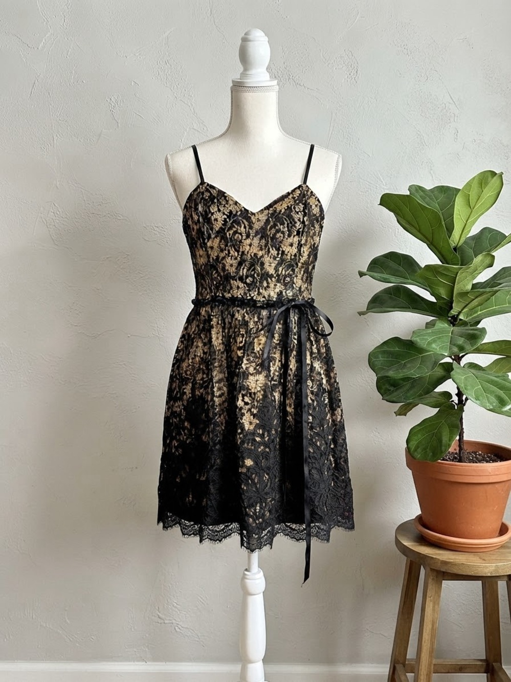 City Triangles Black Lace Overlay Mini Dress with Gold Underlay
